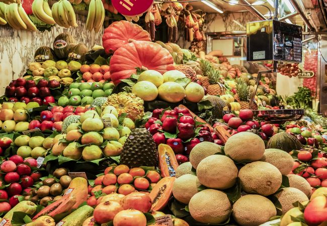 Villa en Sant Pere de Vilamajor - Naturaleza y Tranquilidad para 24, playa a 30km! Villa en Sant Pere de Vilamajor - Naturaleza y Tranquilidad para 24, playa a 30km!