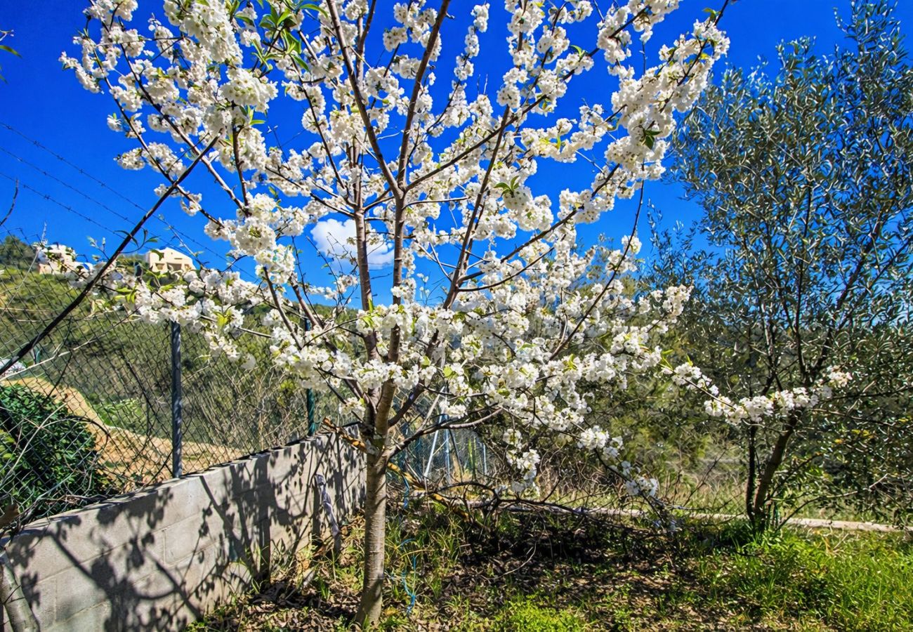 Villa en Castellet i la Gornal - Moderno refugio con piscina privada, playa a 7 km