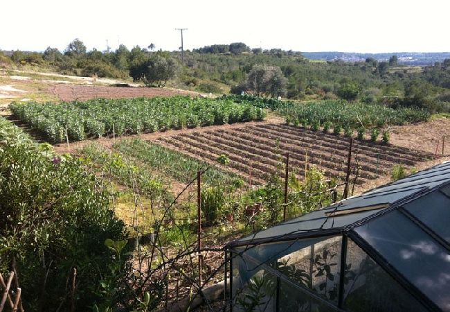 Villa en Vespella de Gaià - ¡Encanto rural en una finca de olivos con piscina!