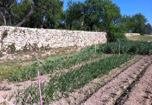 Villa en Vespella de Gaià - ¡Encanto rural en una finca de olivos con piscina!