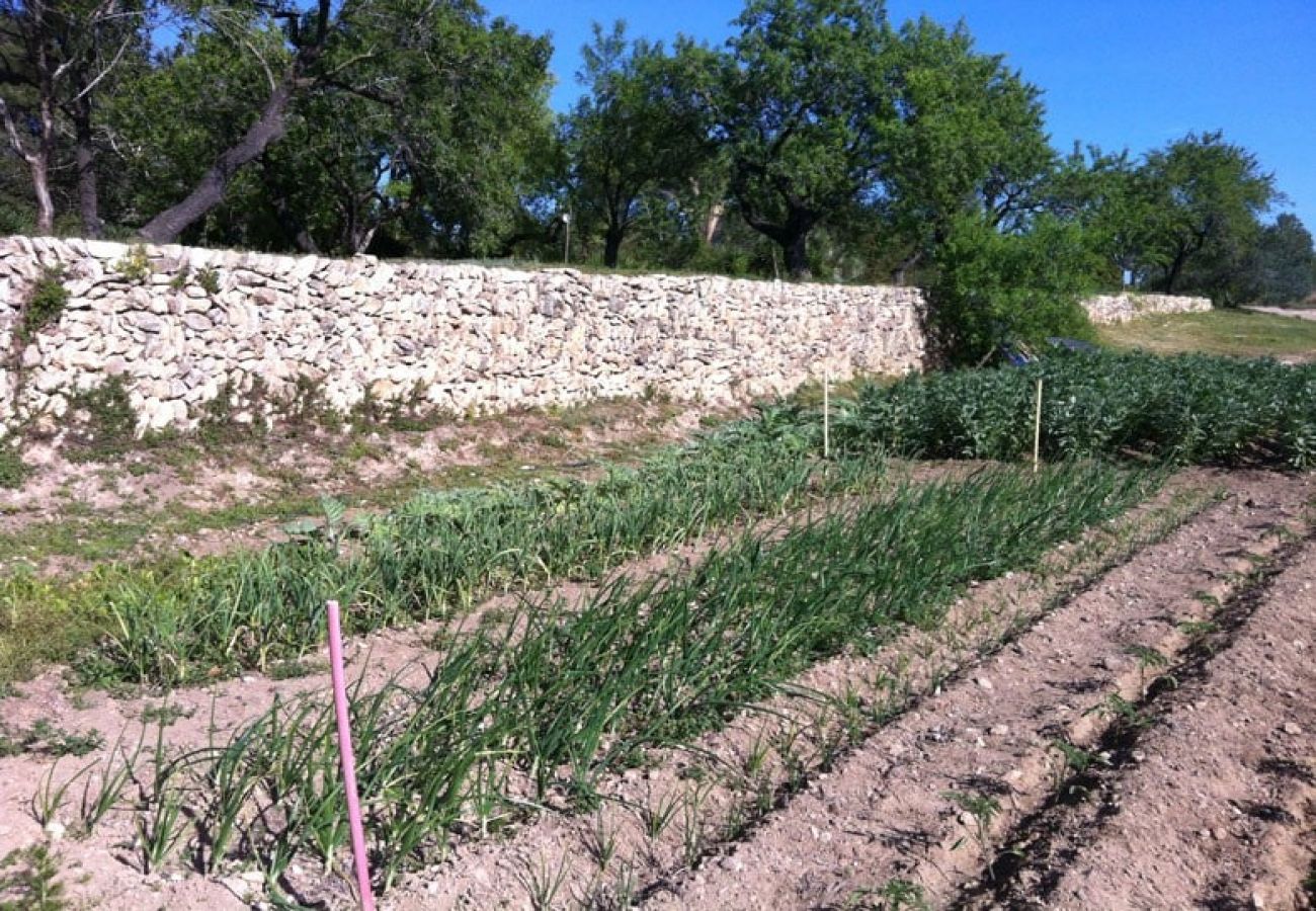 Villa en Vespella de Gaià - ¡Encanto rural en una finca de olivos con piscina!