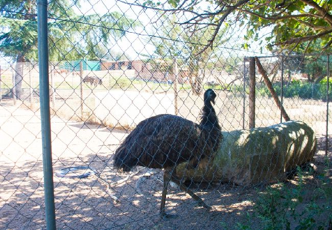 Villa en Sils - ¡Un oasis para amantes de la naturaleza, 26 pax! Villa en Sils - ¡Un oasis para amantes de la naturaleza, 26 pax!
