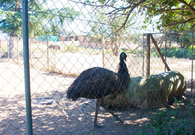 Villa en Sils - ¡Un oasis para amantes de la naturaleza, 26 pax!