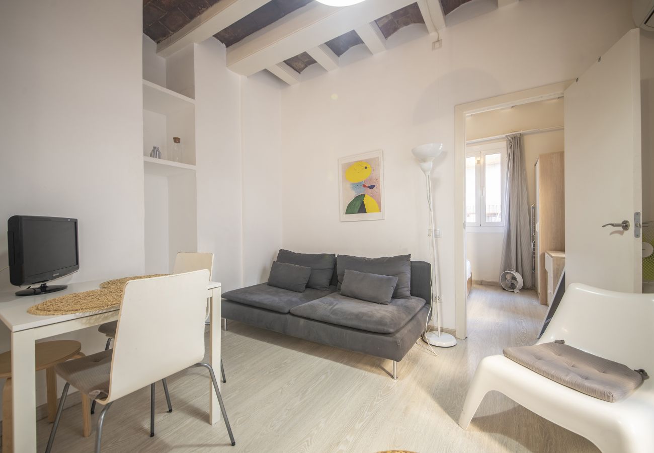 Apartamento en Barcelona - Un precioso y luminoso apartamento en Barceloneta