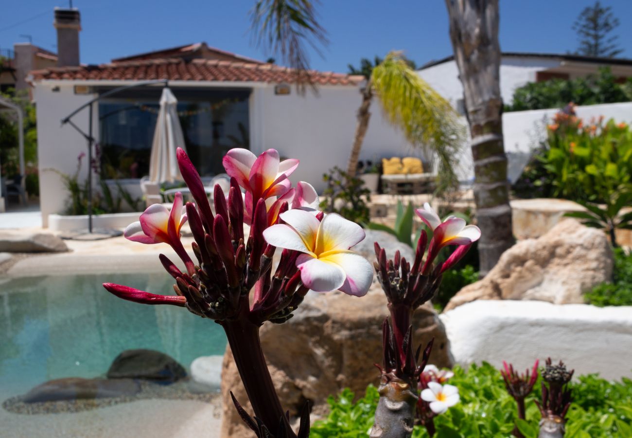 Villa en La Pobla de Montornés - Oasis Tropical Costa Dorada con piscina privada