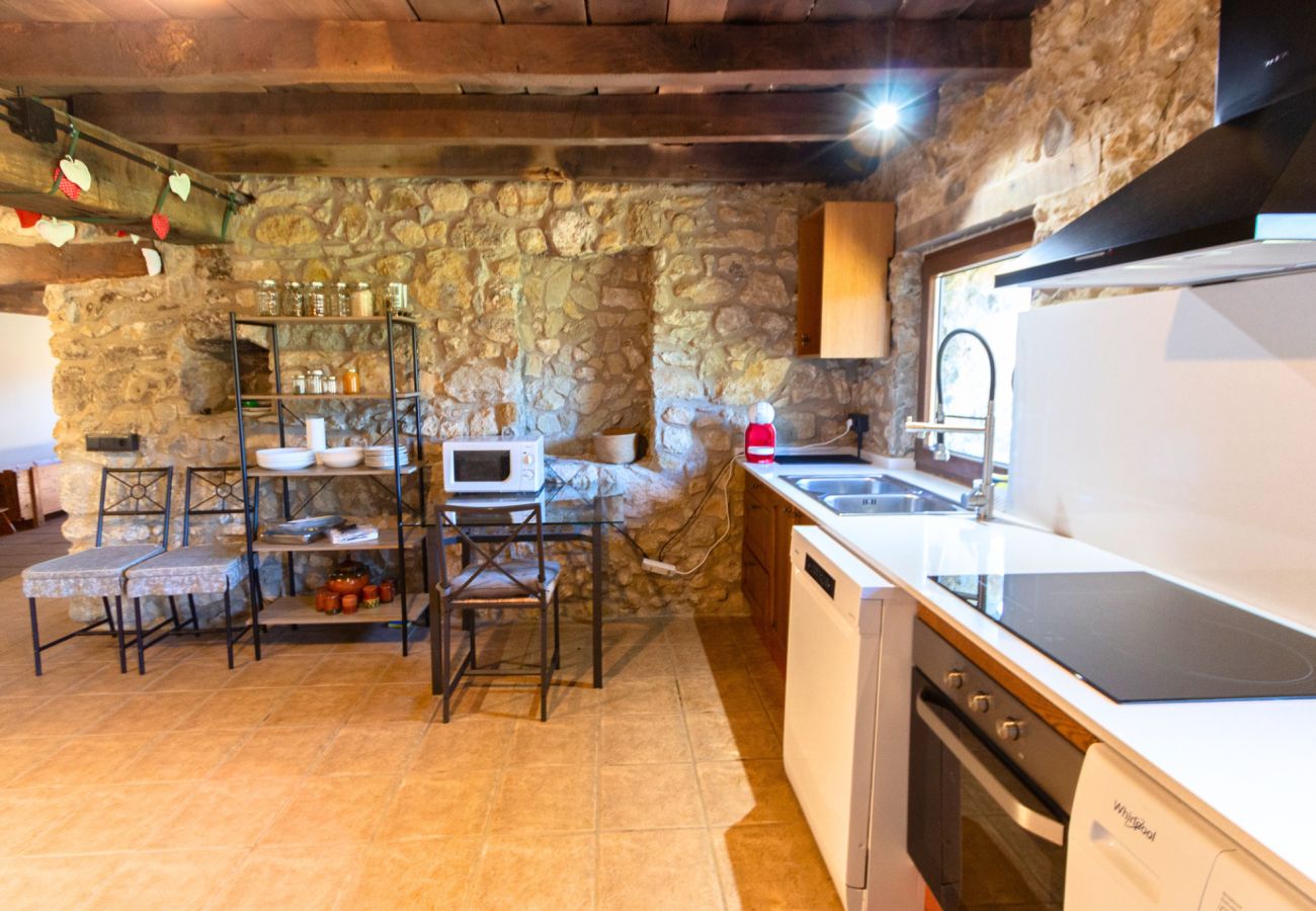 Villa en Sant Feliu de Pallerols - Villa amplia en La Garrotxa, naturaleza y tranquilidad