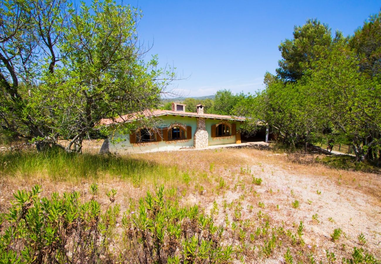 Villa à La Riera de Gaià - Costa Dorada rurale pour 26 personnes - à 10 km de la plage !