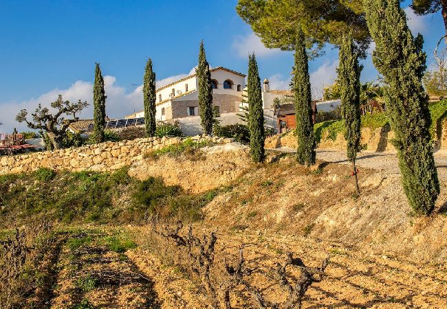 Villa à La Bisbal del Penedés -  Villa captivante au milieu des vignes, proche de Sitges