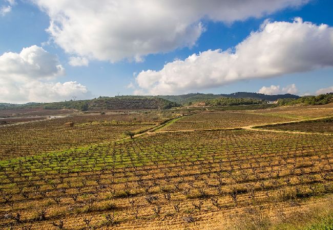 Villa à La Bisbal del Penedés -  Villa captivante au milieu des vignes, proche de Sitges