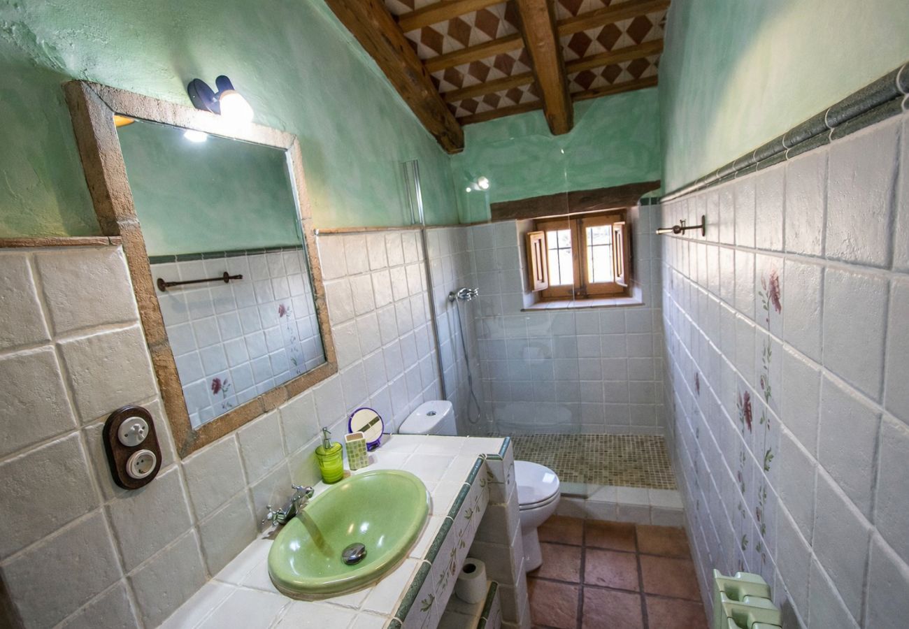 Villa à La Bisbal del Penedés -  Villa captivante au milieu des vignes, proche de Sitges