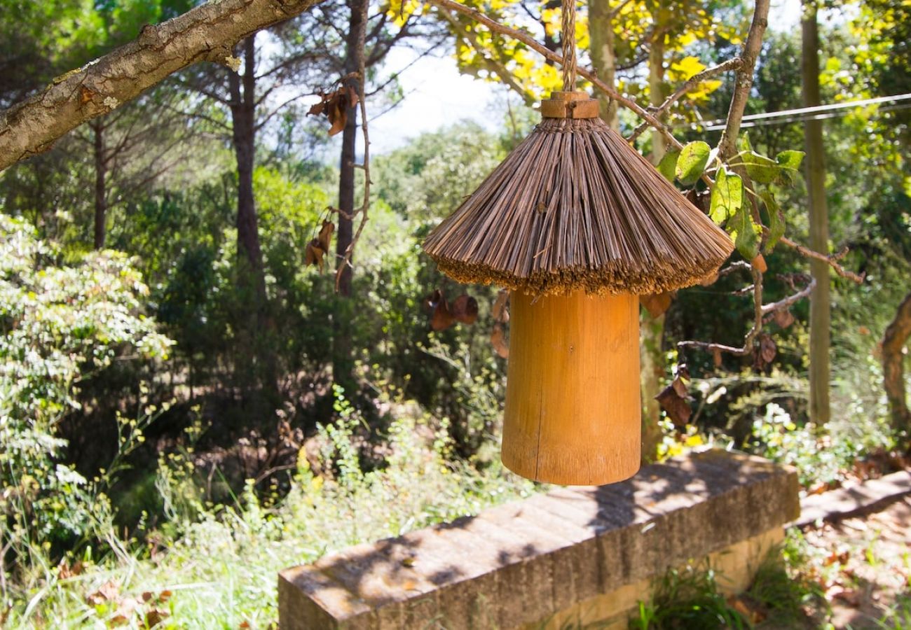 Villa à Gerone/Girona - Beau Château pour 24 personnes - proche de Blanes!