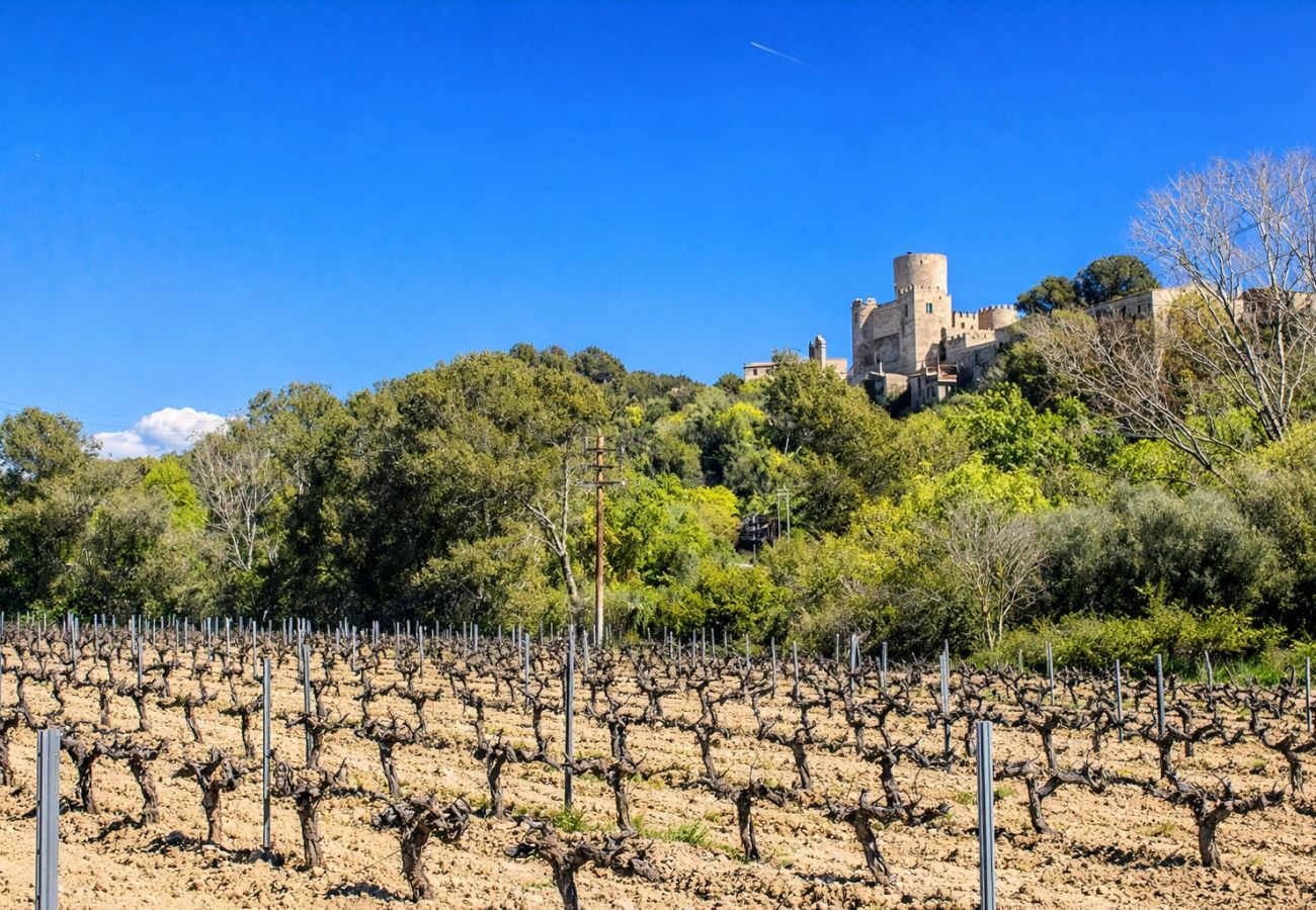 Villa à Castellet i la Gornal - Havre de paix moderne en hauteur avec piscine privée à 7km de la plage !