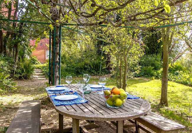 Villa à Vespella de Gaià - Charme rural sur une oliveraie de la Costa Dorada !  Villa à Vespella de Gaià - Charme rural sur une oliveraie de la Costa Dorada !