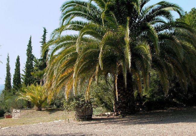 Villa à Vespella de Gaià - Charme rural sur une oliveraie de la Costa Dorada !  Villa à Vespella de Gaià - Charme rural sur une oliveraie de la Costa Dorada !