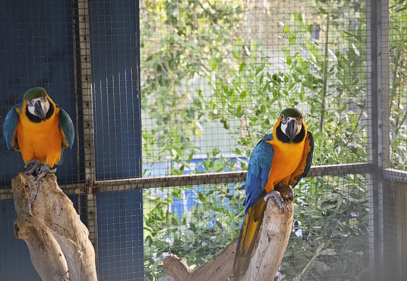 Villa à Sils -  Une oasis pour 26 invités amoureux de la nature!