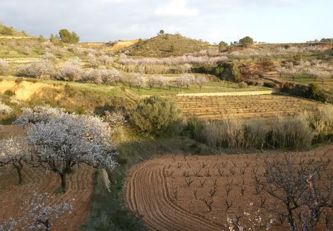 Villa à Vila-Rodona - Convent 18ème siècle converti à couper le souffle ! Villa à Vila-Rodona - Convent 18ème siècle converti à couper le souffle !