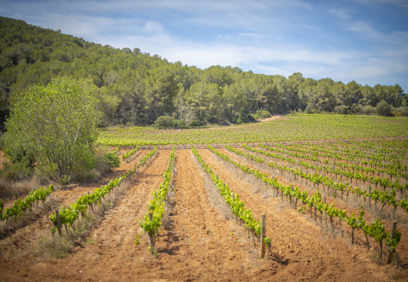 Villa à Calafell - Atmosphère de nature tranquille 