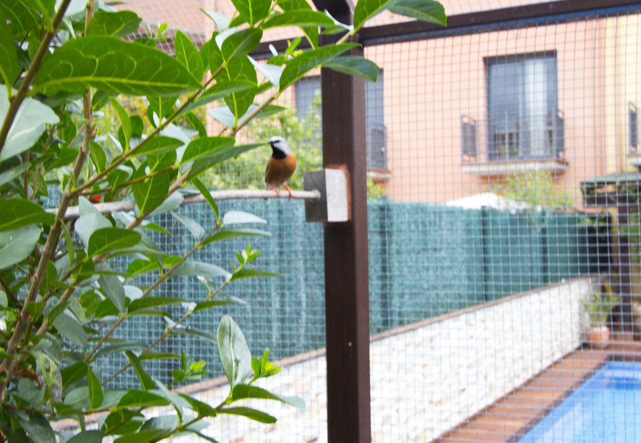 Villa à Bisbal d´Emporda - Piscine privée et à 100m du centre du village! 