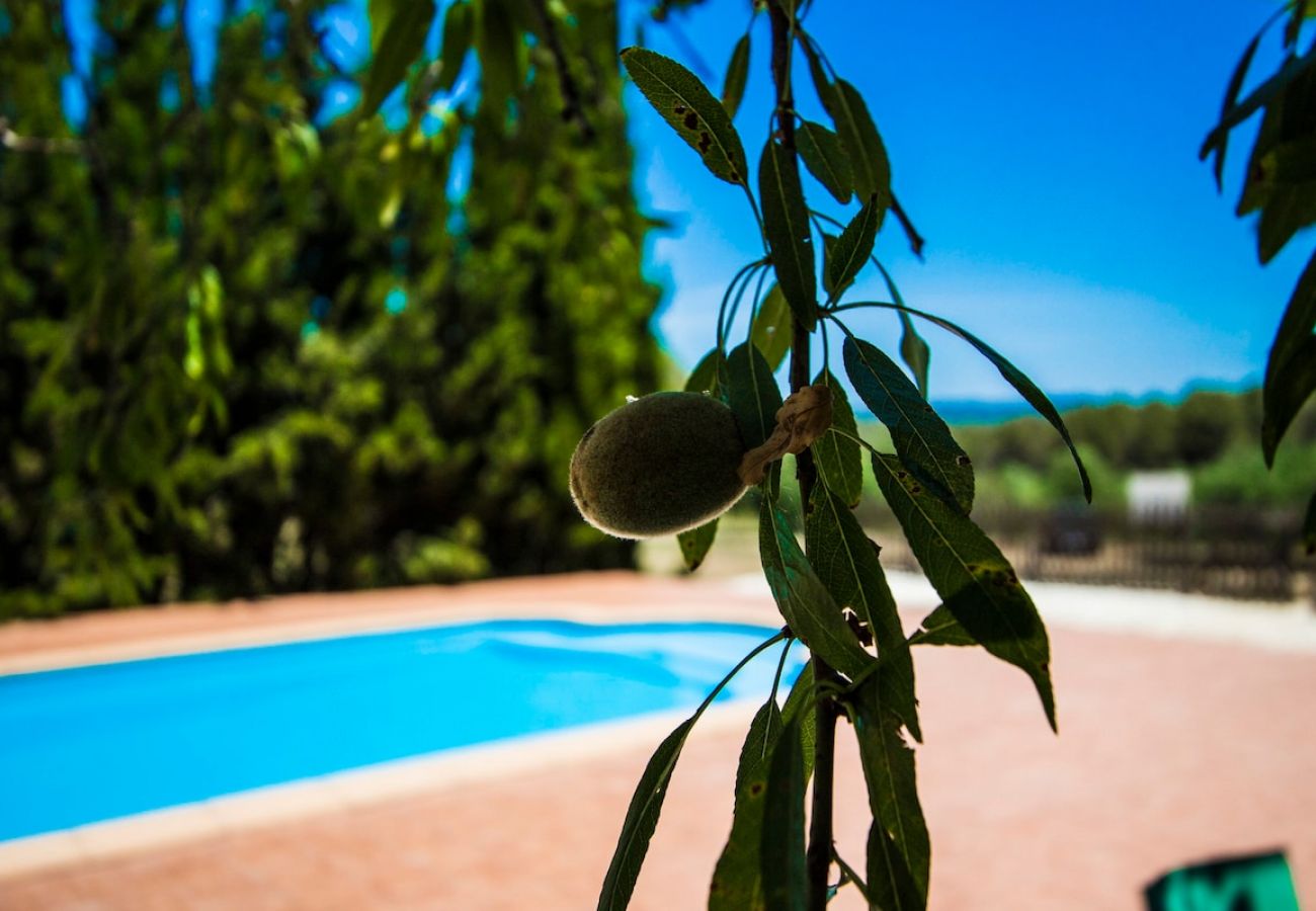 Villa in La Riera de Gaià - Rural Costa Dorada for 26 - 10km to beach!