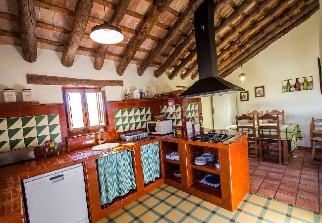 Villa in La Bisbal del Penedés - Captivating Villa in the Vineyards close to Sitges Villa in La Bisbal del Penedés - Captivating Villa in the Vineyards close to Sitges