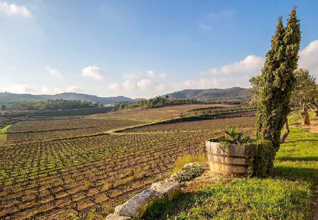Villa in La Bisbal del Penedés - Captivating Villa in the Vineyards close to Sitges Villa in La Bisbal del Penedés - Captivating Villa in the Vineyards close to Sitges