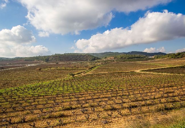 Villa in La Bisbal del Penedés - Captivating Villa in the Vineyards close to Sitges Villa in La Bisbal del Penedés - Captivating Villa in the Vineyards close to Sitges