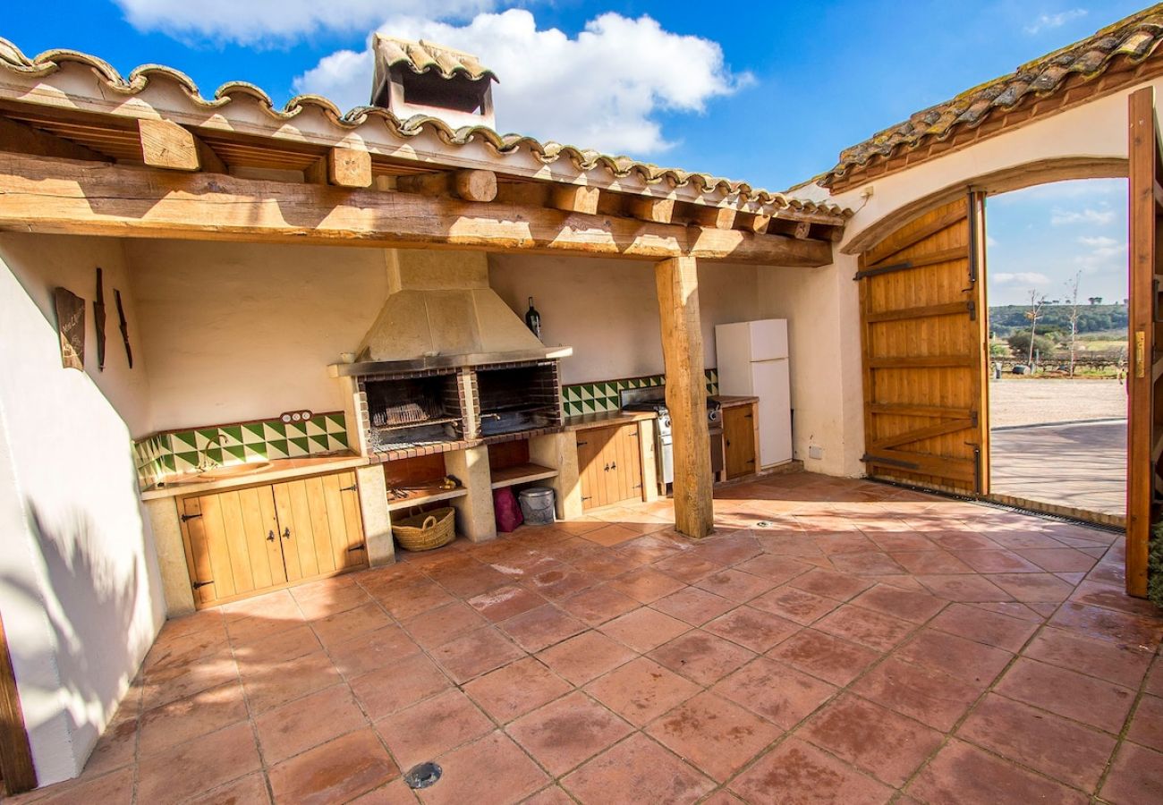 Villa in La Bisbal del Penedés - Captivating Villa in the Vineyards close to Sitges