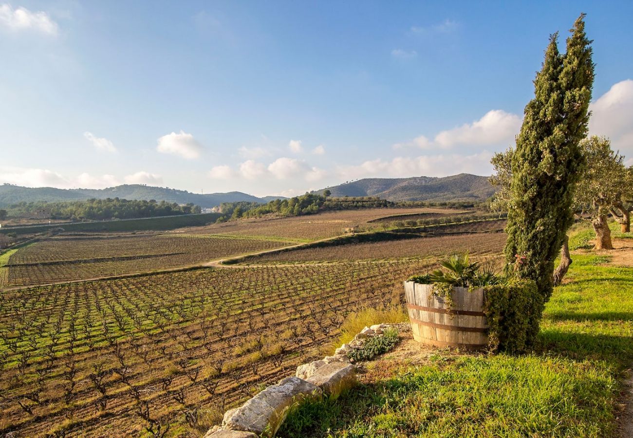 Villa in La Bisbal del Penedés - Captivating Villa in the Vineyards close to Sitges