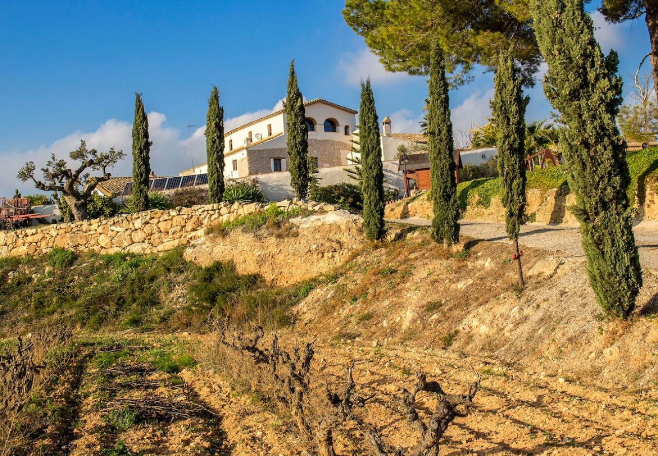 Villa in La Bisbal del Penedés - Captivating Villa in the Vineyards close to Sitges