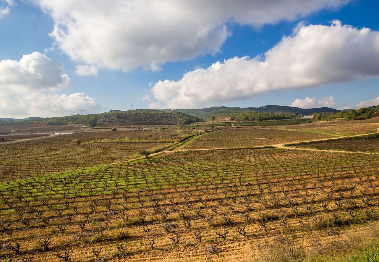 Villa in La Bisbal del Penedés - Captivating Villa in the Vineyards close to Sitges