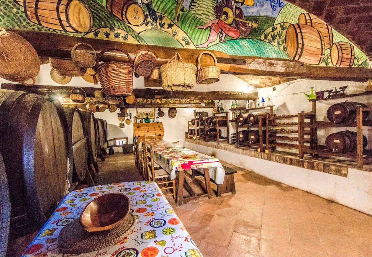 Villa in Castellar del Vallés - Village center (no car needed) 35km to Barcelona!