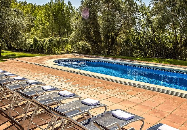 Villa in Castellet i la Gornal - Country Chateau for 22 persons - close to Sitges!