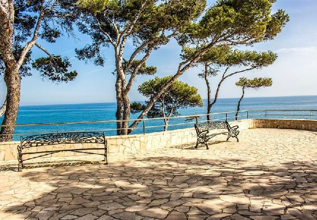 Villa in Miami Playa - Villa Moderna: 200m to village and secluded beach! Villa in Miami Playa - Villa Moderna: 200m to village and secluded beach!