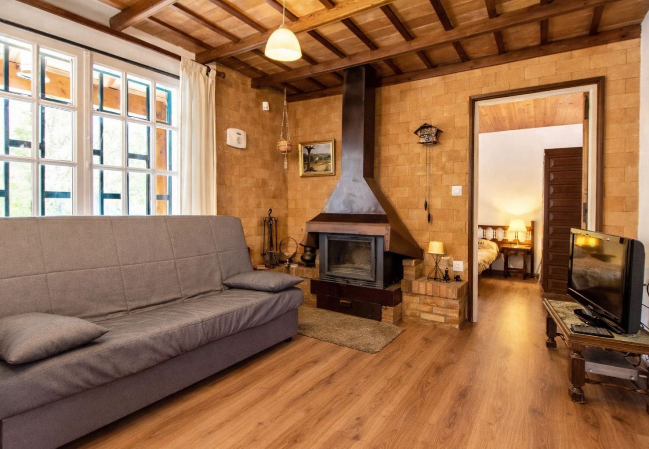 Villa in Santa Coloma de Farners -  Costa Brava villa w/ private pool and spacious garden