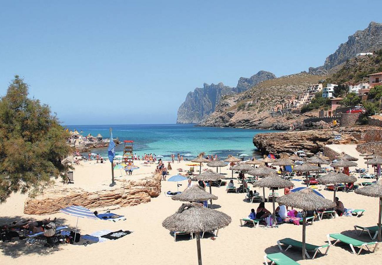 Villa in Palma de Mallorca - Incredible villa only 5 min to town of Pollensa!