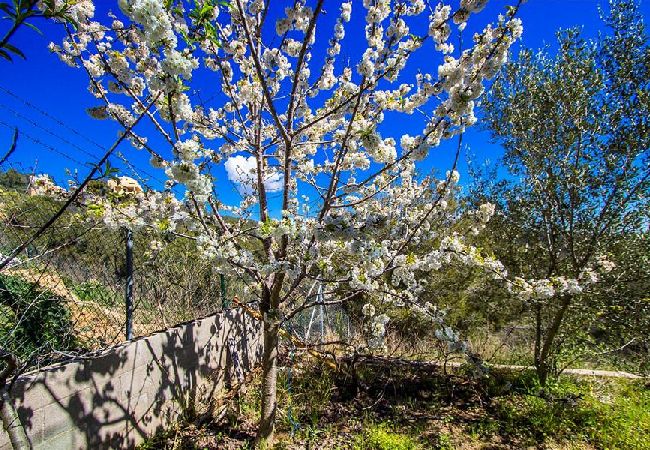 Villa in Castellet i la Gornal - Modern Hilltop Haven w/ private pool 7km to beach! Villa in Castellet i la Gornal - Modern Hilltop Haven w/ private pool 7km to beach!