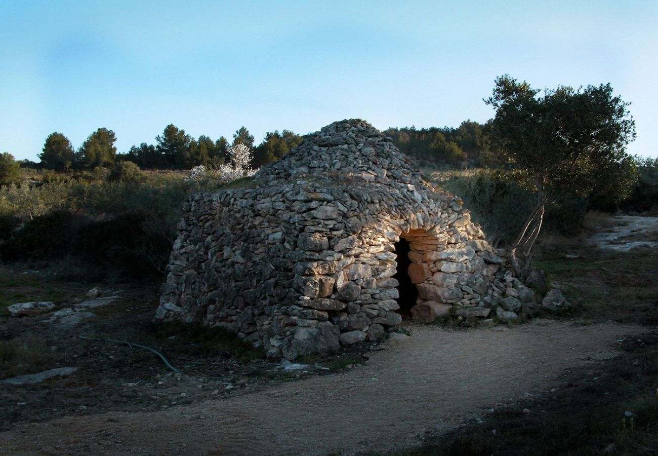 Villa in Vespella de Gaià - Rural charm on an olive farm in Costa Dorada!