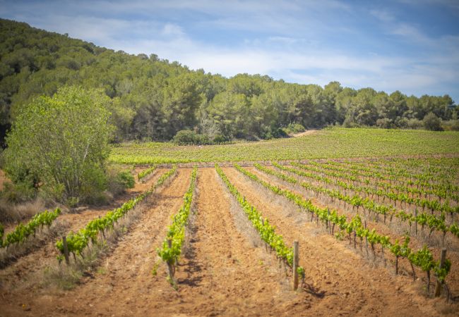Villa in Calafell - Tranquil nature  Villa in Calafell - Tranquil nature