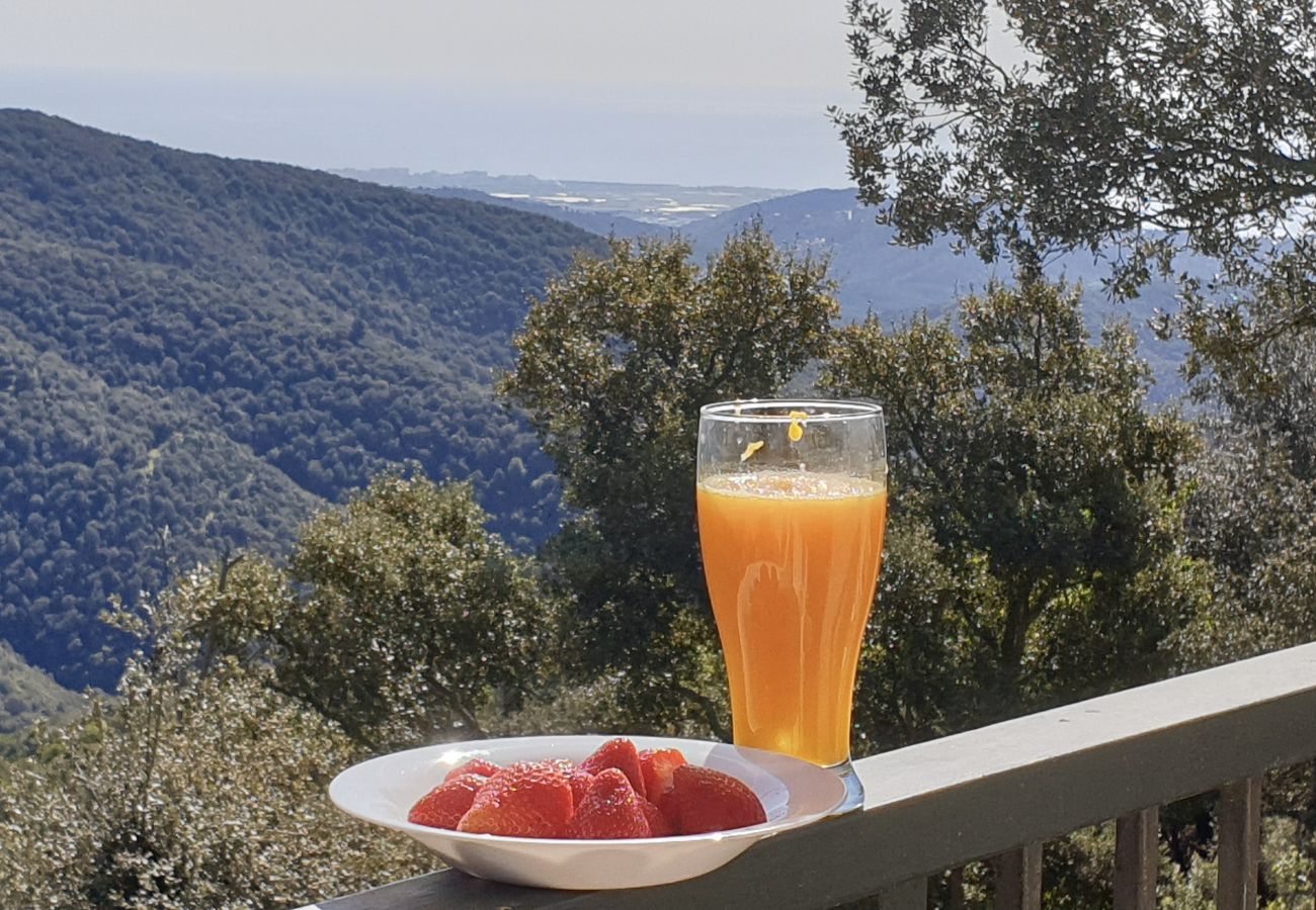 Villa in Tordera - Ultimate tranquility in rural Costa Brava!