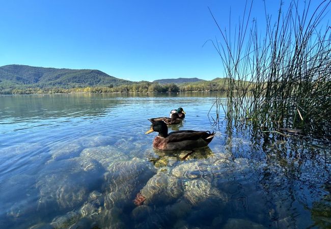 Villa in Banyoles - Oasis with private pool near lake and Dali Museum!  Villa in Banyoles - Oasis with private pool near lake and Dali Museum!