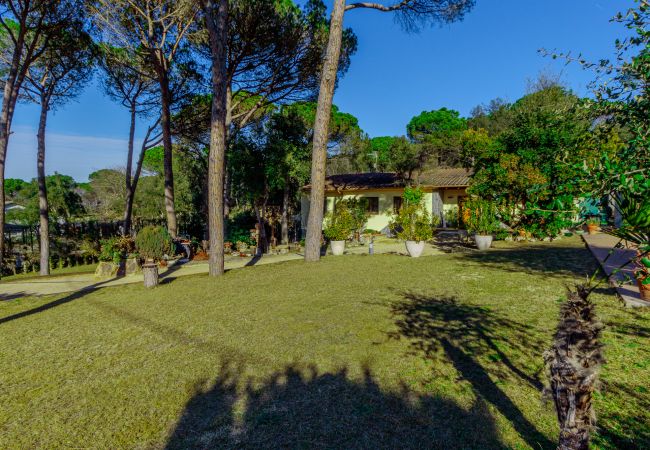 Villa in Sils - Spacious Countryside Costa Brava Relax  Villa in Sils - Spacious Countryside Costa Brava Relax