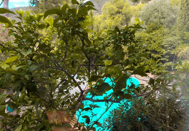 Villa in Castelldefels - Charming Villa 5 min to Beach and 20 min to BCN! Villa in Castelldefels - Charming Villa 5 min to Beach and 20 min to BCN!
