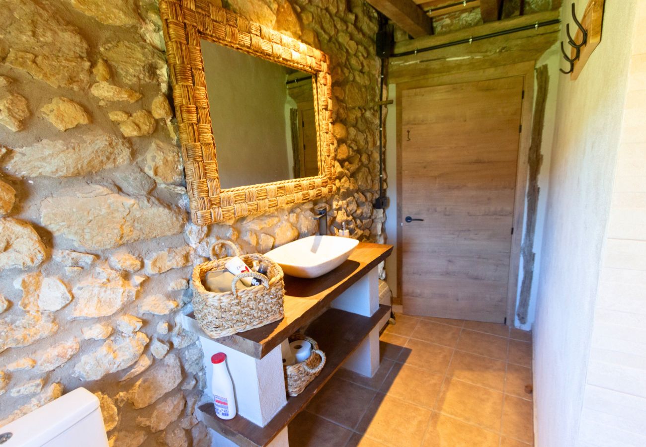 Villa in Sant Feliu de Pallerols - Countryside Delight between Girona and France