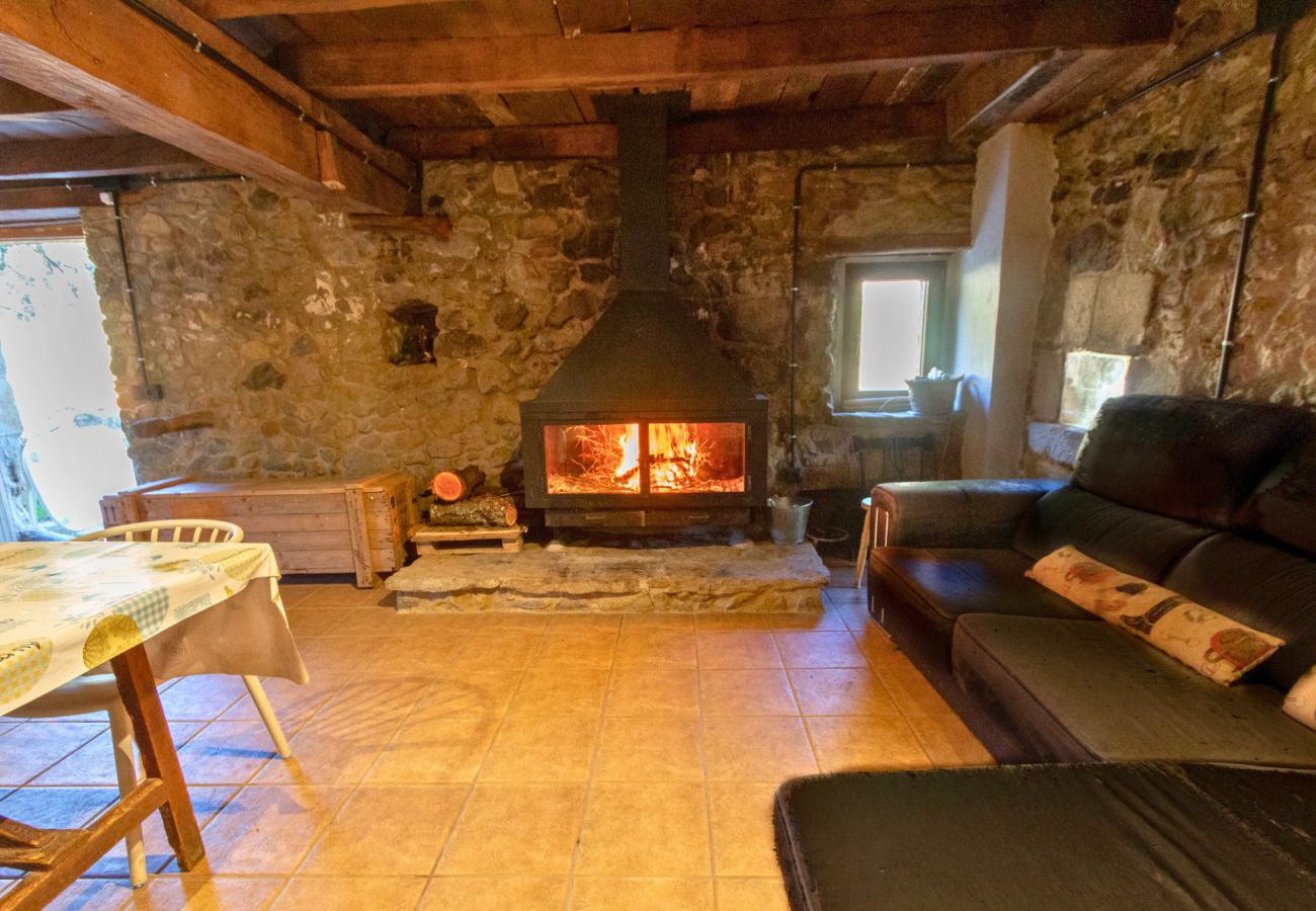 Villa in Sant Feliu de Pallerols - Countryside Delight between Girona and France